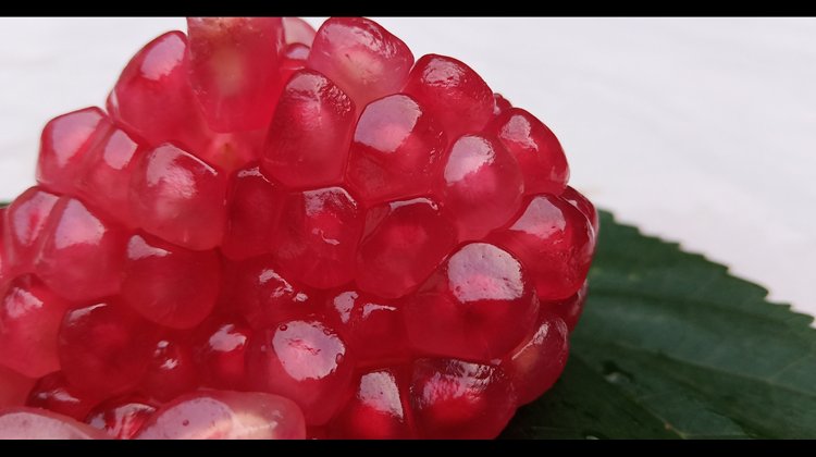 会理石榴丰收场景特写