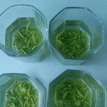 狗牯脑茶