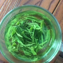 狗牯脑茶