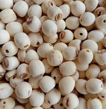 产地广西玉林玉州区物流快递·物流专线;运费待商议规格去芯莲子2100