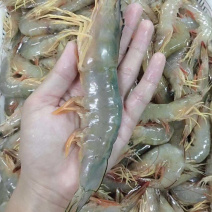 大明虾