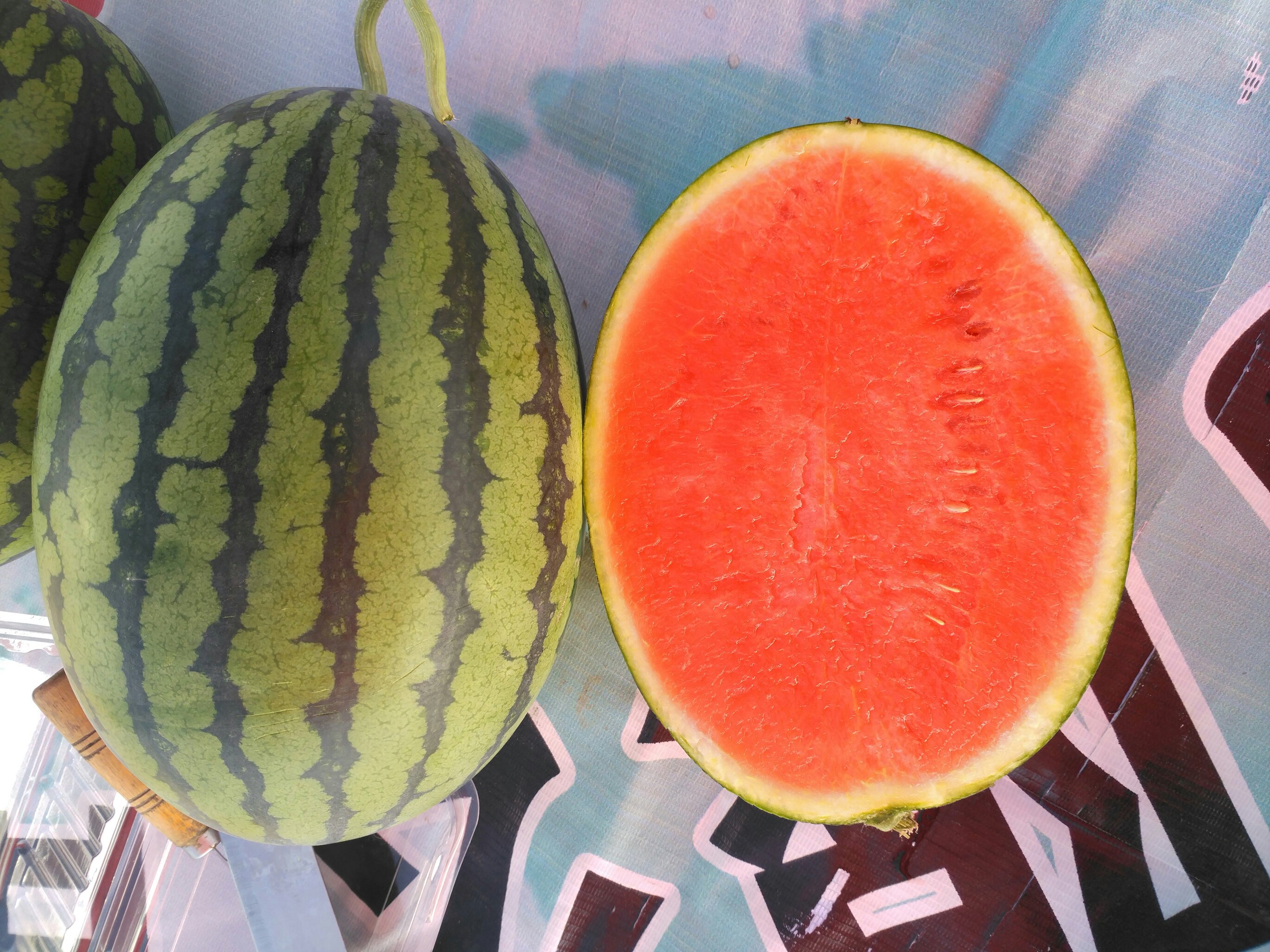 西瓜结构示意图