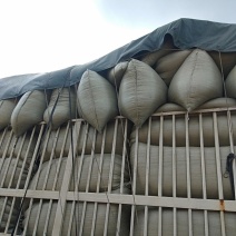 谷壳
