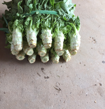 [尖叶莴笋批发]水洗白莴笋价格0.70元/斤 - 一亩田