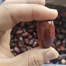 阿联酋椰枣
