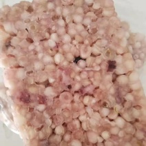 海灵菇鱿鱼