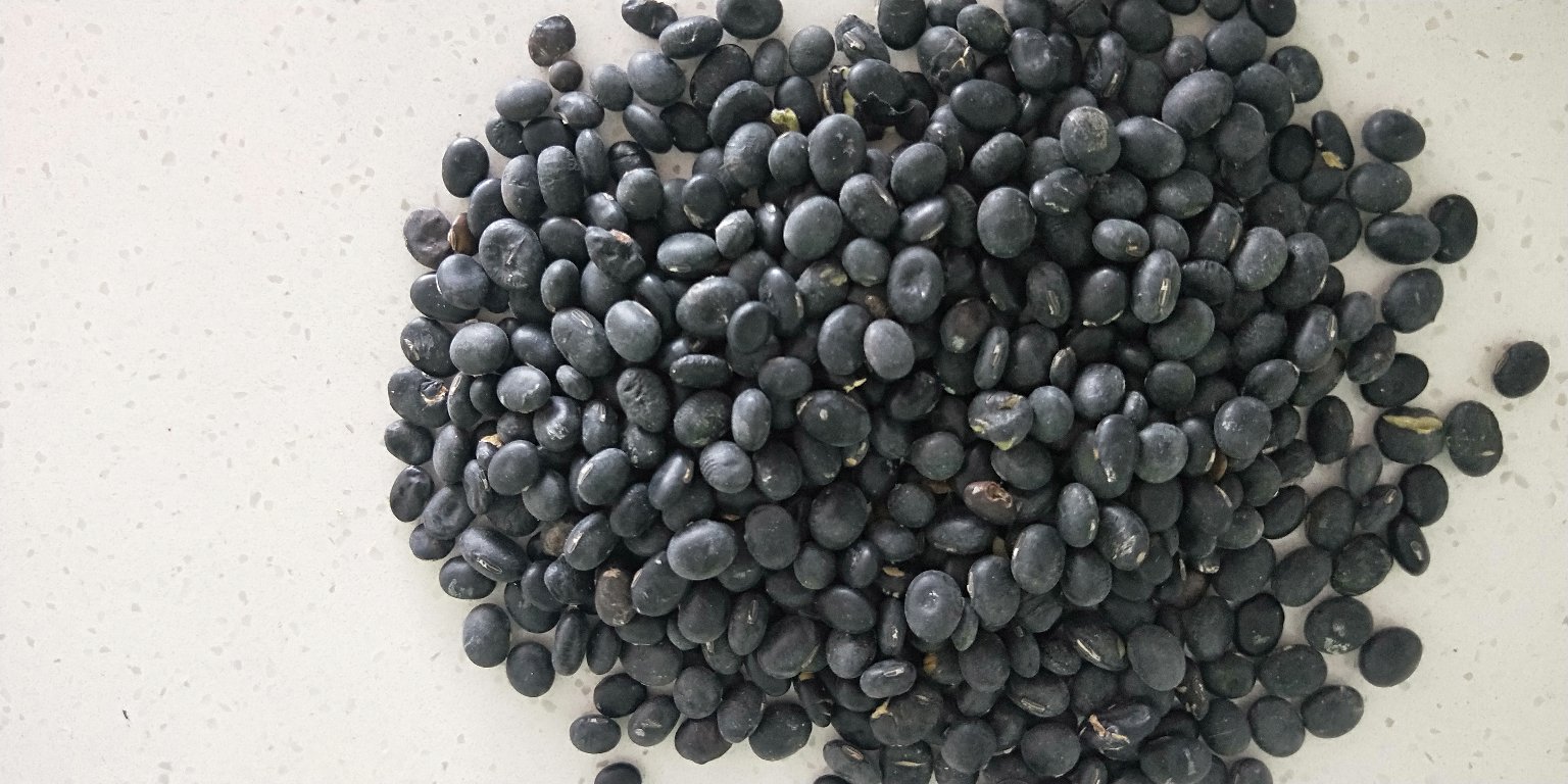 车前草与黑豆的食材组合