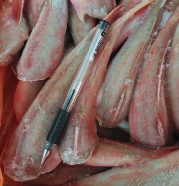 三去红头鱼50克60克