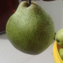 梨、丫梨