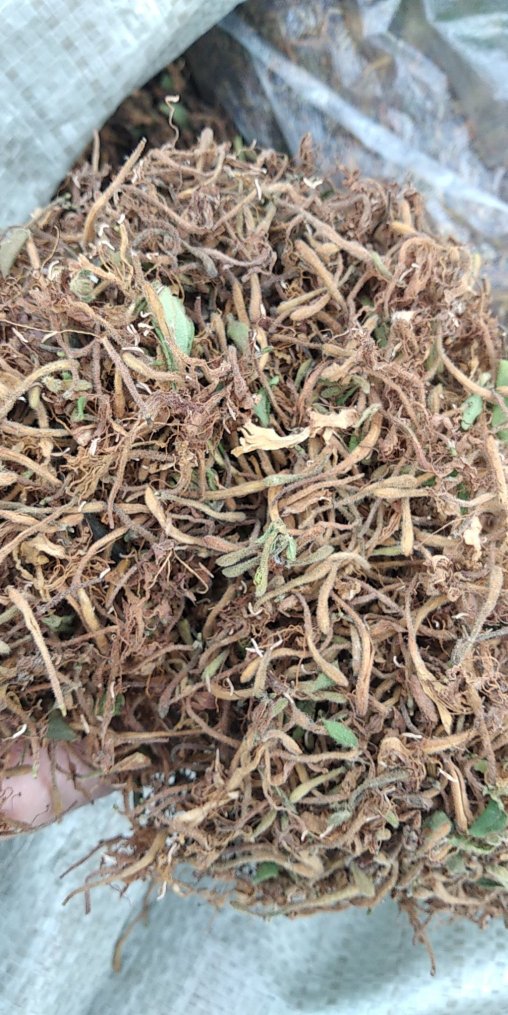 贵州铜仁野生山银花无硫金银花干货大银花干品岩银花忍冬藤