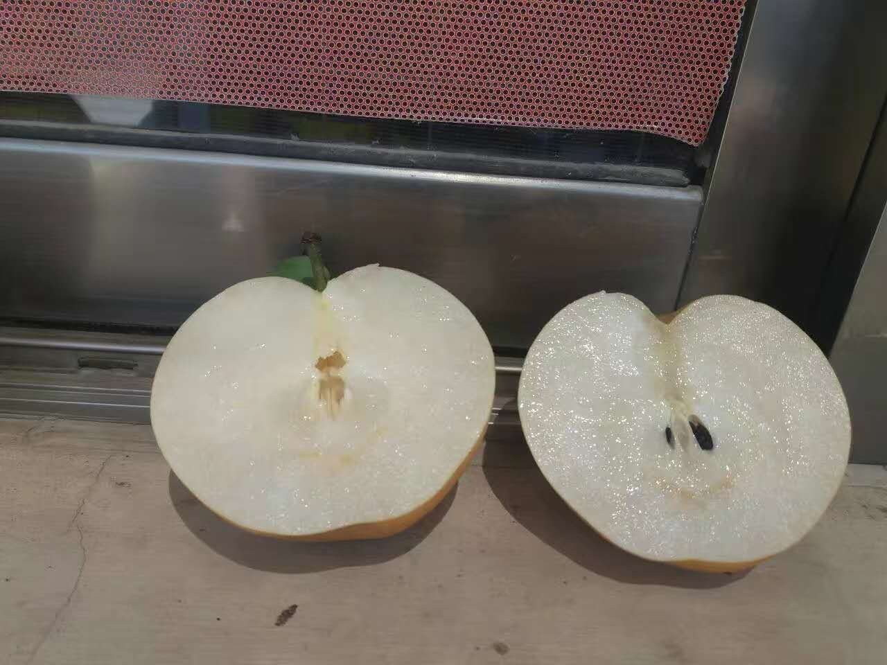 水晶梨切开果肉图