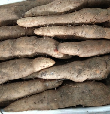 脚板苕白苕牛尾苕