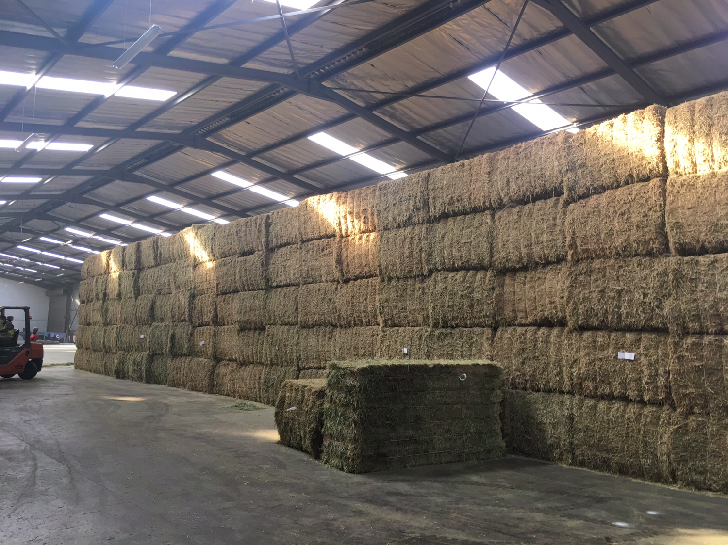 展示标准农资仓库中整齐摆放的除草剂,配有温湿度监测设备 除草剂储存规范图示