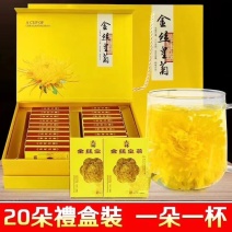 金丝黄菊茶