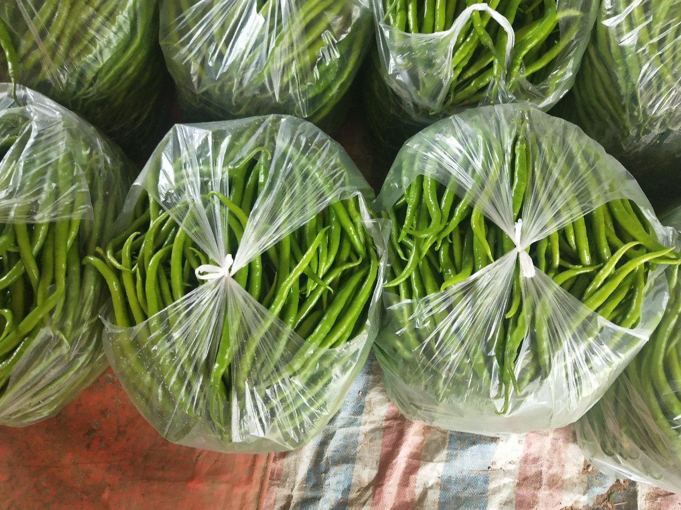 香脆辣椒市场销售图