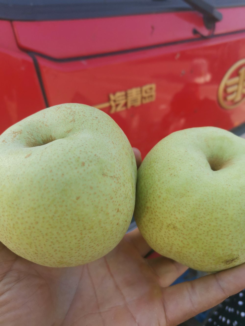 安徽砀山酥梨,皮薄汁多,诚信为本,保证质量,一条龙服务
