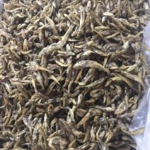 沙沟鱼狗头鱼油炸烘干鱼无盐不苦