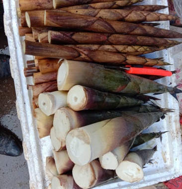 高山刺竹笋,鲜笋,水煮笋