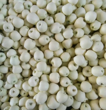 [梨批发]黄元帅,套袋红,梨价格2.00元/斤 - 一亩田