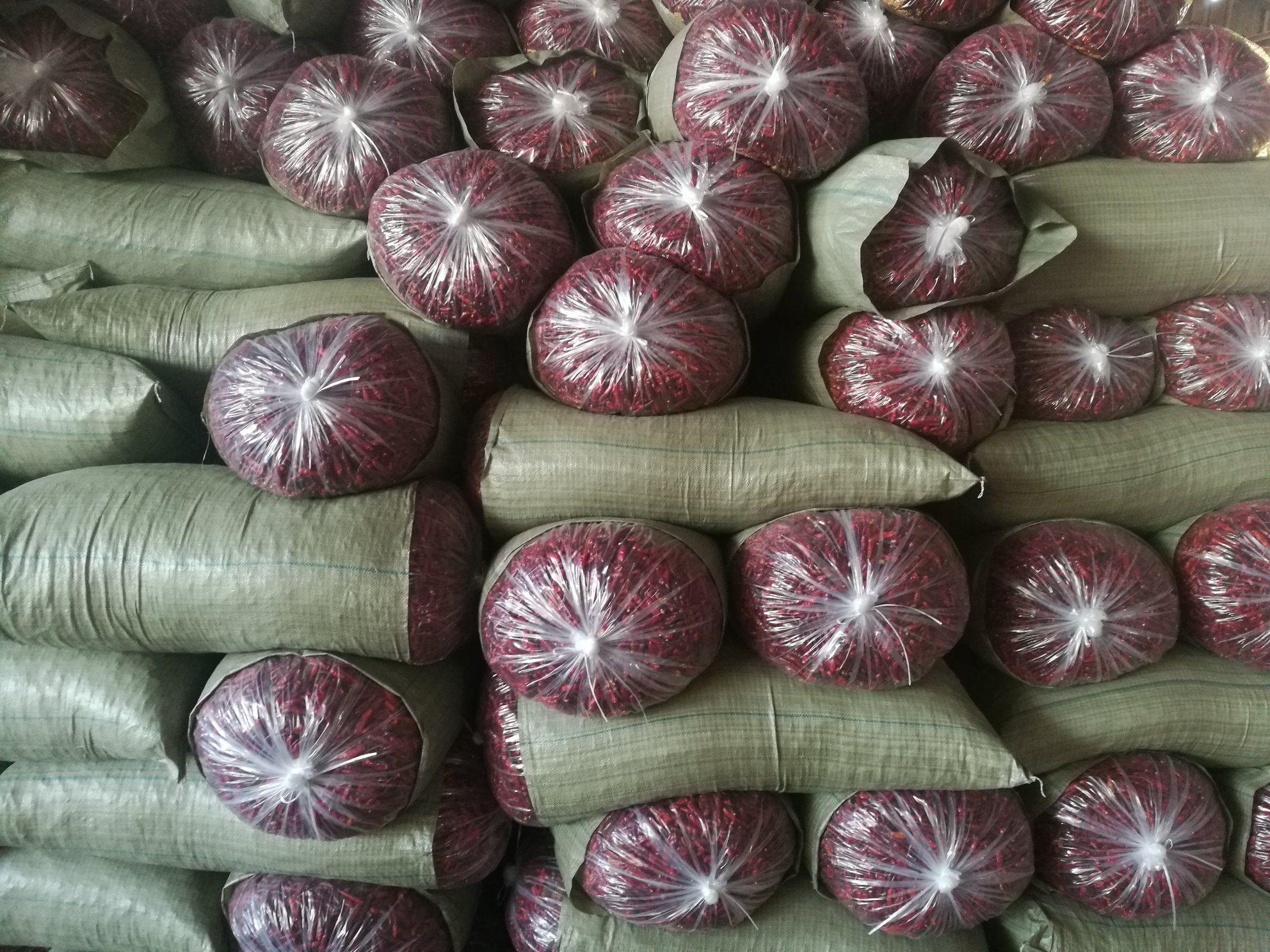 三樱8号新鲜椒分拣包装车间