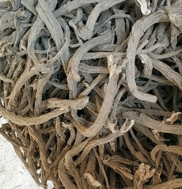 贵州野生续断选货野生和尚头选货