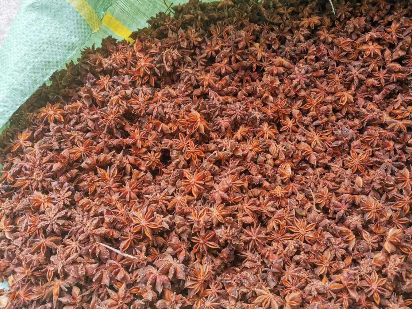 八角用于烹饪的场景图