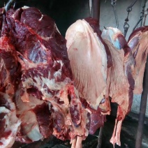 现杀毛驴肉咿呀咿呀哟样一样呀