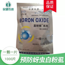 嘉斯顿一颗一片氧化硼肥片抗白粉虱蚜虫蔬菜花卉