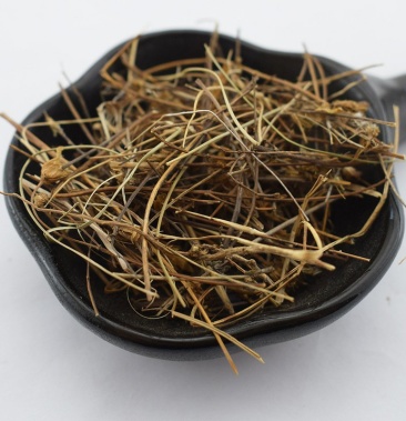 肝炎草青叶胆可打粉批发零售中药材品质保证