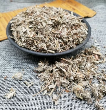 委陵菜中药材委陵菜蛇含草天然蛇衔紫背草五匹风