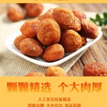 一杏两吃，带核杏仁更好吃，新疆四团吊干杏干杏仁无添加