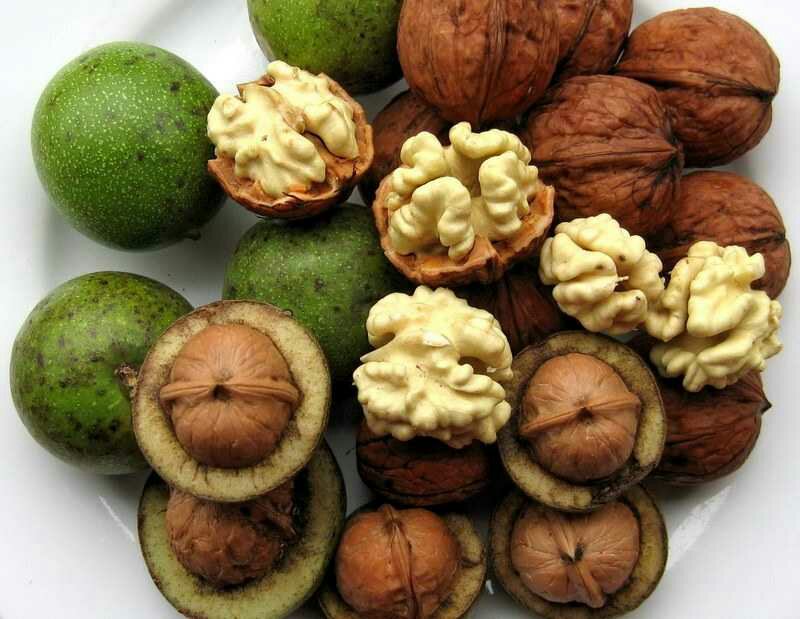 核桃尺寸对比图