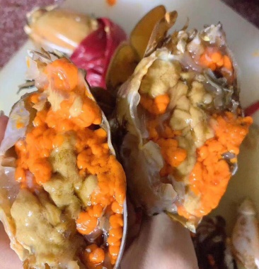 膏蟹肉蟹一手货源批发