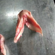 鱼唇