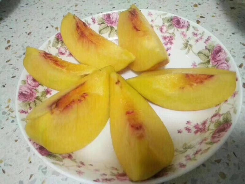 炎陵黄桃制作成果酱与甜点