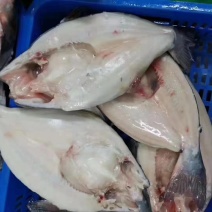 国产开背巴沙鱼