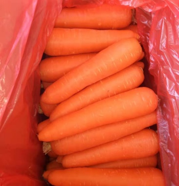 胡萝卜水洗中条手提袋箱子装泥货水洗加工打冷一条龙