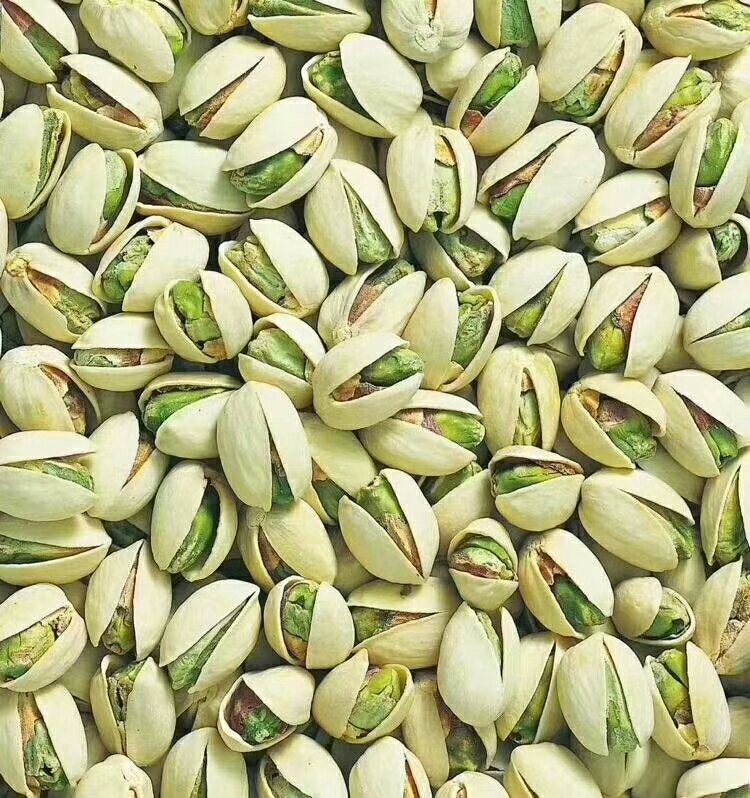 2020开心果原色白色大自开天虹杭派 大量批发快递包邮