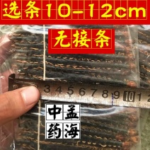 蜈蚣选条1件100条无接条