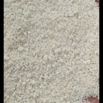 豆渣