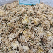 药用菊花菊花亳菊花实图拍照优质正品保证质量无理由退货退款