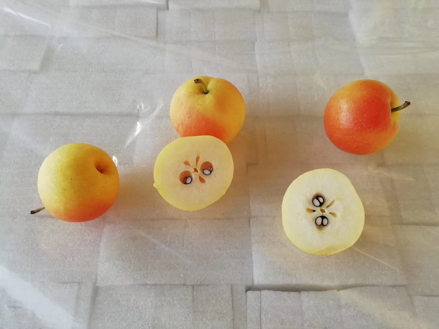 南果梨果实特写