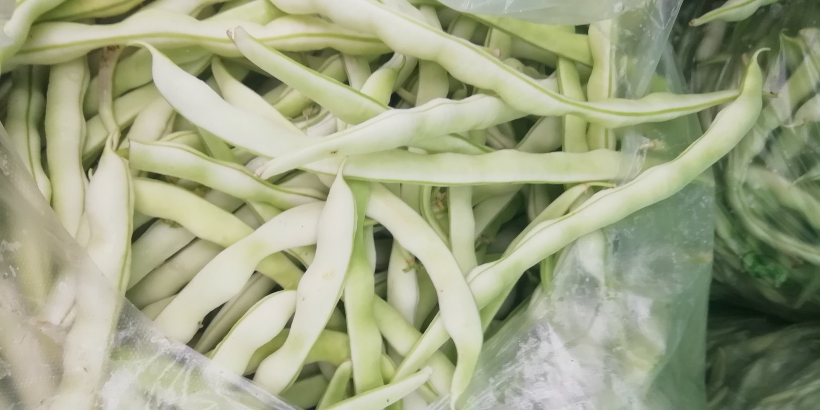 白不老炒肉食材展示 白不老炒肉所需的食材整齐摆放在案板上,包括新鲜的白不老、猪肉、青红椒和调味料