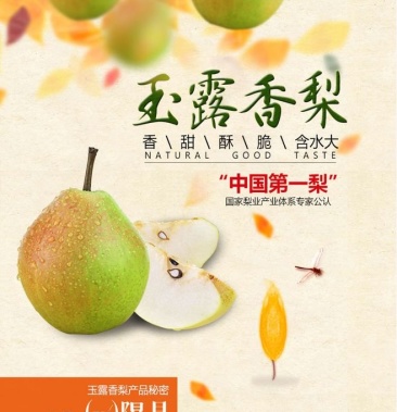 吃玉露香梨就吃隰县的,皮薄肉细,好吃不贵,价格美丽.