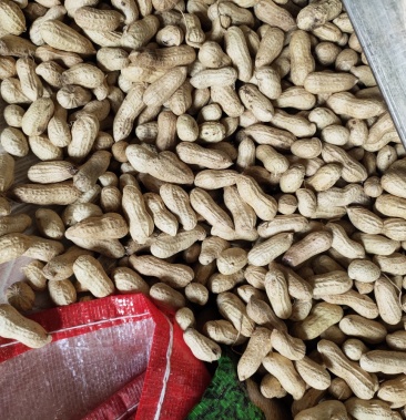 [天府3号花生批发]精品天府3号花生果价格4.35元/斤 - 一亩田