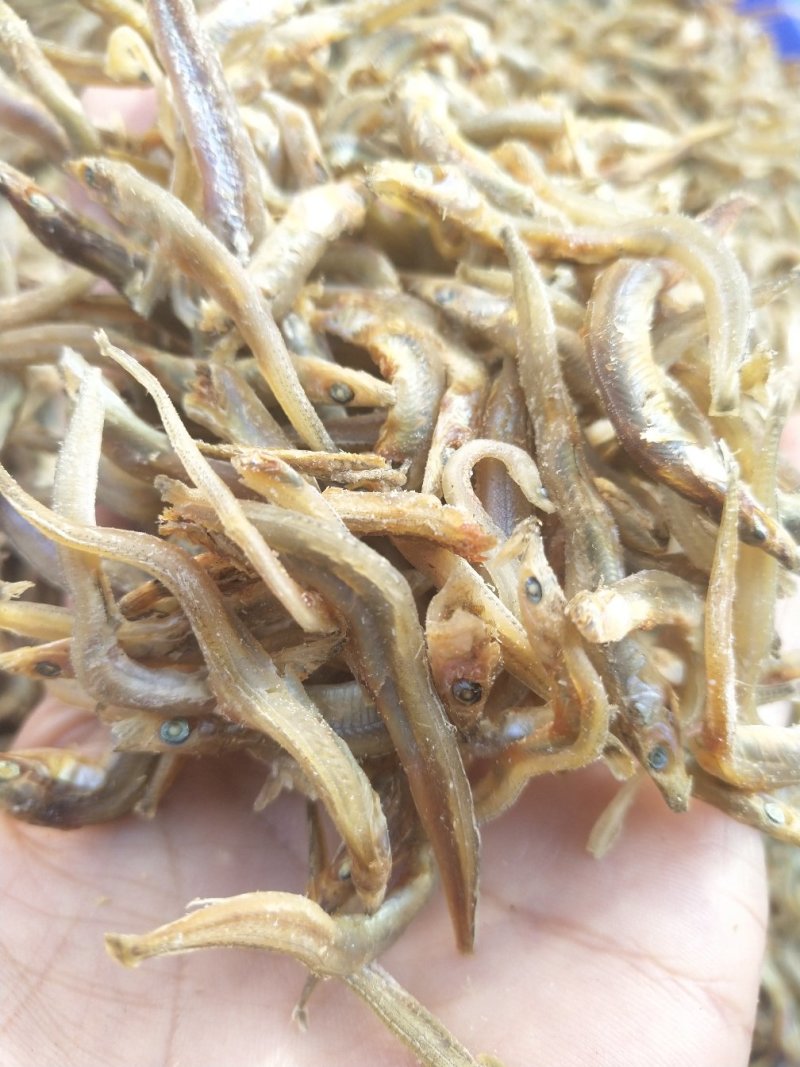 [针嘴鱼批发]广西玉林玉州区针嘴鱼 8.00元/斤银针鱼 _ 一亩田