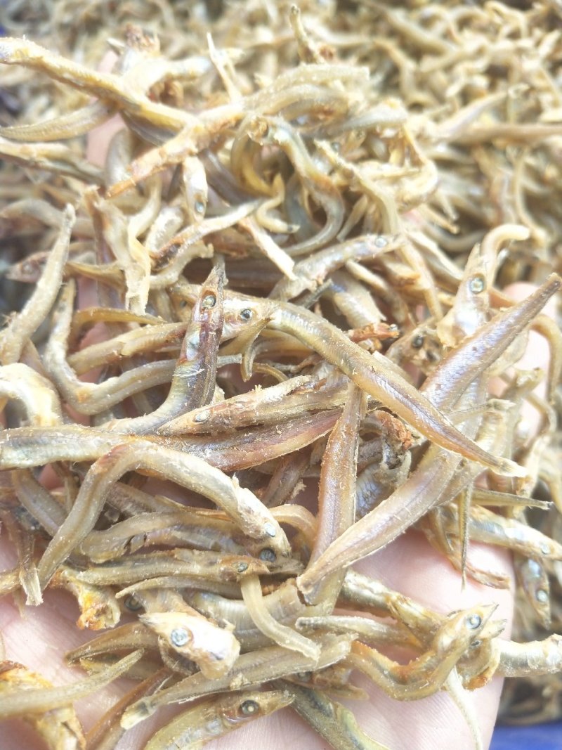 [针嘴鱼批发]广西玉林玉州区针嘴鱼 8.00元/斤银针鱼 _ 一亩田