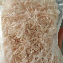 新鲜淡干虾皮