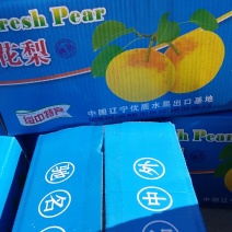绥中花梨大量上市了暖梨冻梨