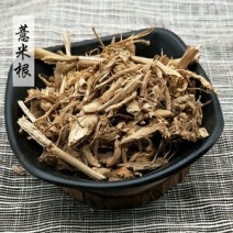 薏米根千余品种供应承接订单
